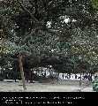 Buenos Aires – Suite et fin