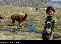 Iquique, Arica i park Lauca