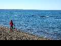 Patagonie: les baleines