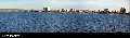 Patagonie: les baleines