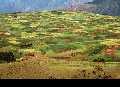 Cusco und das heilige Tal der Inka