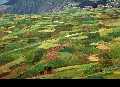 Cusco und das heilige Tal der Inka