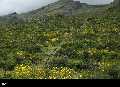 Cusco et la vallée sacrée des Incas