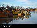 Patagonie: les baleines
